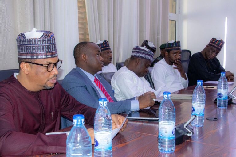 Dr. Sa’id Kori Engages in High Level Technical Session with Lake Chad Basin Stakeholders in N’Djamena.